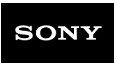 Repair Sony